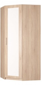 Угловой шкаф распашной Реал (YR-230х884 (9)-М Вар.1), с зеркалом в Грозном