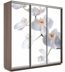 Шкаф 3-створчатый Экспресс 2400х600х2200, Орхидея белая/шимо темный в Грозном