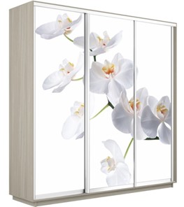 Шкаф 3-х дверный Экспресс 2400х600х2400, Орхидея белая/шимо светлый в Грозном