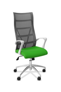 Офисное кресло для руководителя Топ X белый каркас, сетка/ткань TW / серая/салатовая в Грозном