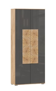 Шкаф двухстворчатый Фиджи с декоративными накладками 659.310, Дуб Золотой/Антрацит в Грозном
