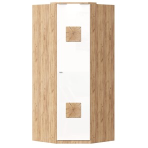 Шкаф угловой 45 с декоративной накладкой Фиджи, 659.248, белый в Грозном