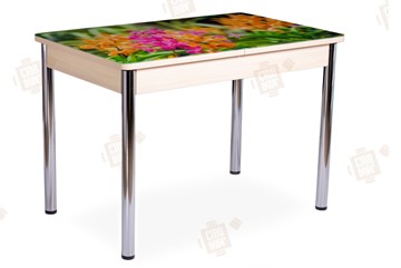 Кухонный стол раскладной Айсберг-02 СТФ, Дуб ЛДСП/полевые цветы/ноги хром прямые в Грозном