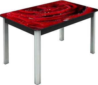 Кухонный стол раздвижной Гамбург исп. Мини, ноги метал. крашеные №23, Фотопечать (Цветы №39) в Грозном