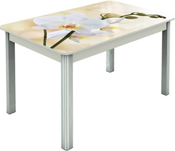 Обеденный раздвижной стол Гамбург исп.2 ноги метал. крашеные №23, Фотопечать (Цветы №5) в Грозном
