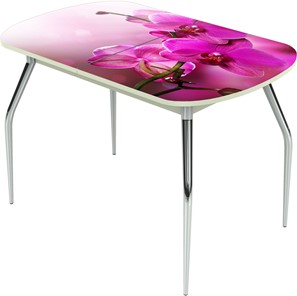 Кухонный раскладной стол Ривьера исп.1 ноги метал. крашеные №24 Фотопечать (Цветы №16) в Грозном