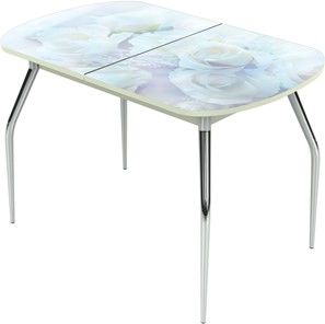 Кухонный стол раскладной Ривьера исп.1 ноги метал. крашеные №24 Фотопечать (Цветы №36) в Грозном