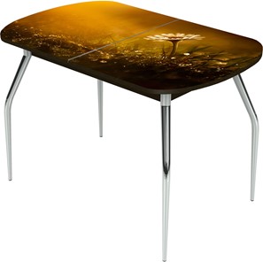 Кухонный раздвижной стол Ривьера исп.2 ноги метал. крашеные №24 Фотопечать (Цветы №43) в Грозном