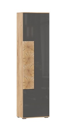 Шкаф одностворчатый Фиджи с декоративными накладками 659.300, Дуб Золотой/Антрацит в Грозном - изображение