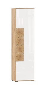 Шкаф одностворчатый Фиджи с декоративными накладками 659.300, Дуб Золотой/Белый в Грозном
